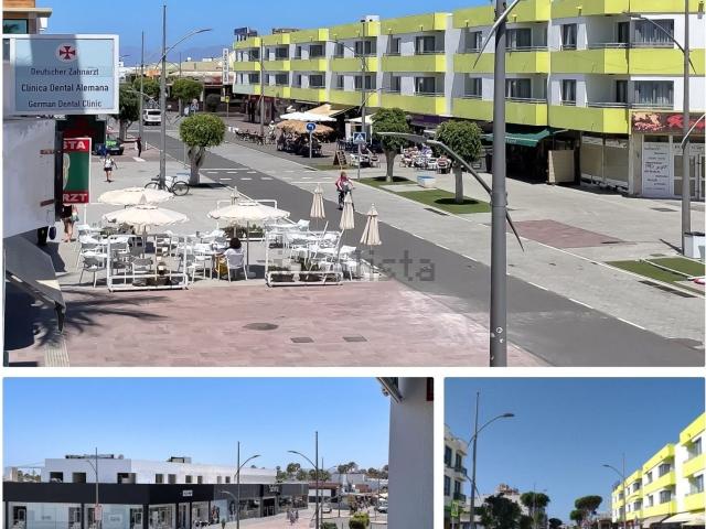 Piso, La Oliva