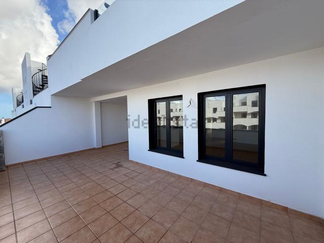 Piso, La Oliva