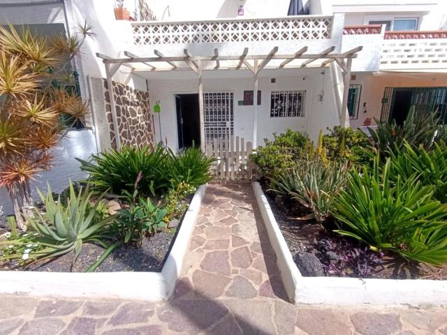 Piso, La Oliva
