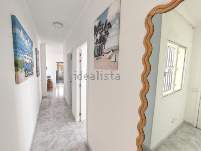 Piso, La Oliva