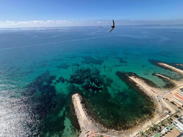 Piso, La Albufereta, Alicante / Alacant