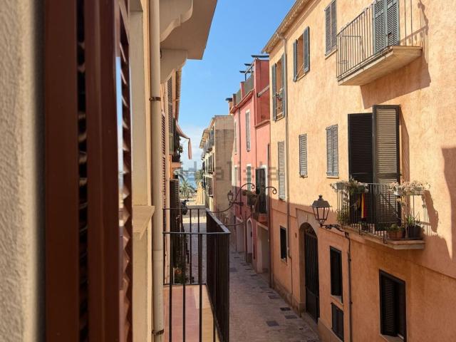 Piso, La Calatrava, Palma de Mallorca