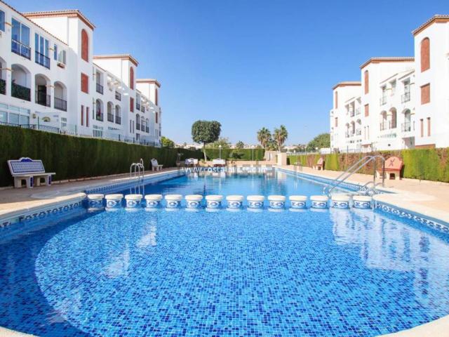 Piso, La Ciñuelica Villa Rosa, Orihuela