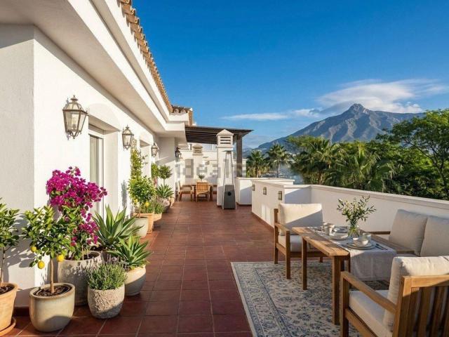 Piso, La Dama de Noche La Alzambra, Marbella