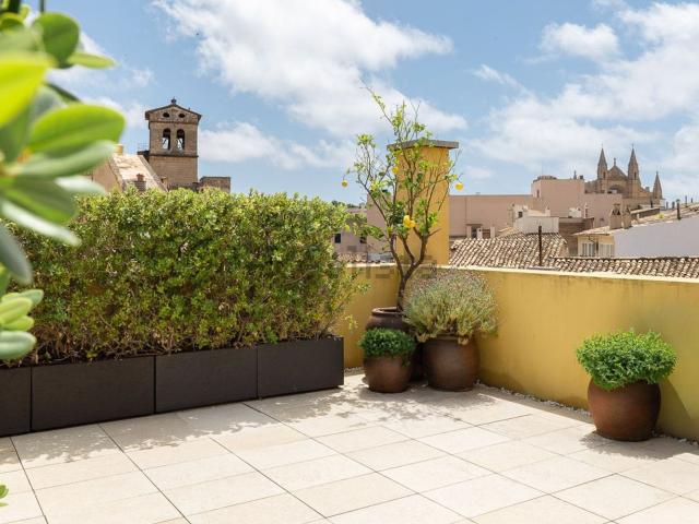 Piso, La Llotja, Palma de Mallorca