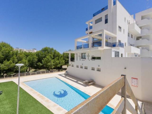 Piso, La Regia, Orihuela