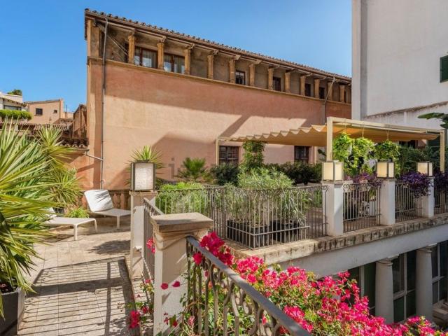 Piso, La Seu, Palma de Mallorca