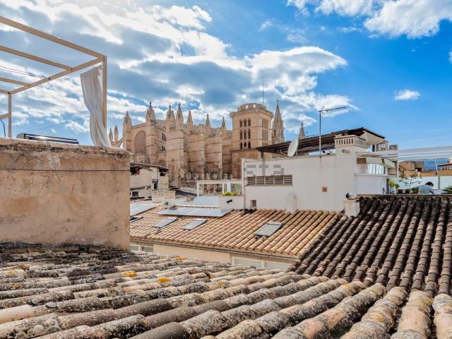 Piso, La Seu, Palma de Mallorca
