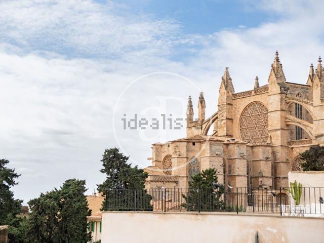 Piso, La Seu, Palma de Mallorca