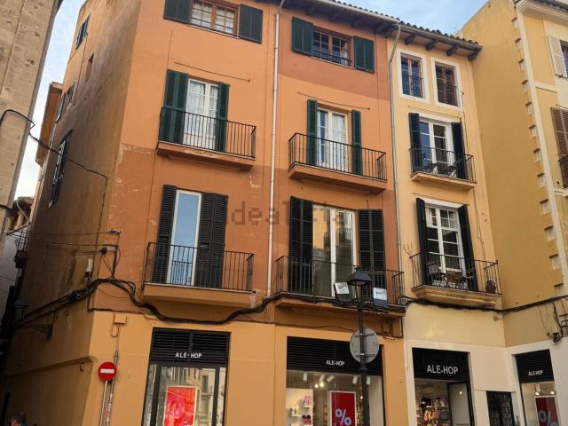 Piso, La Seu, Palma de Mallorca