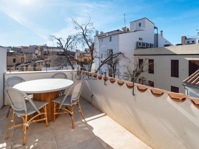 Piso, La Seu, Palma de Mallorca