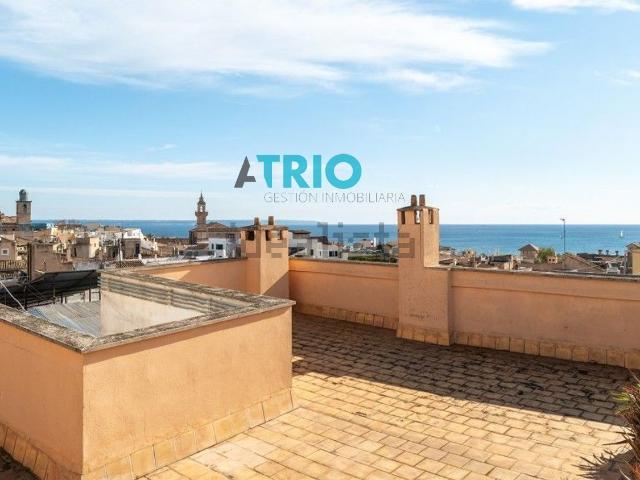 Piso, La Seu, Palma de Mallorca