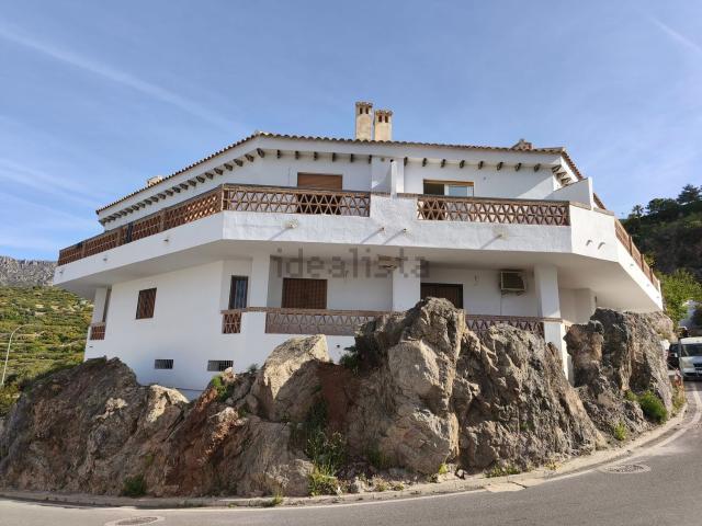 Piso, Lenteji