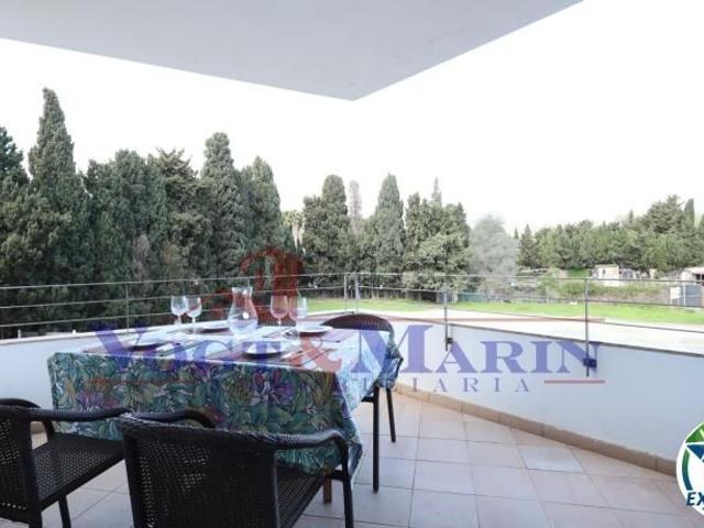 Piso, Llançà