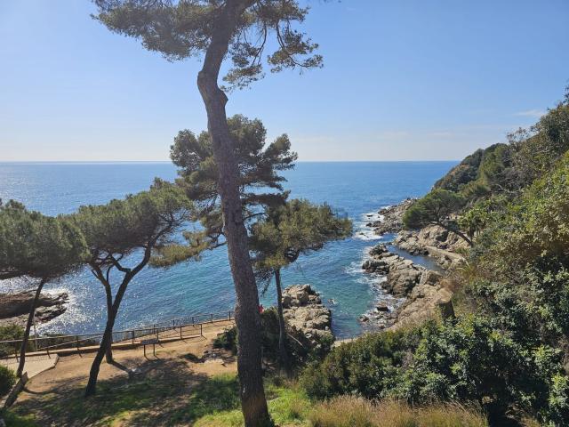Piso, Lloret de Mar