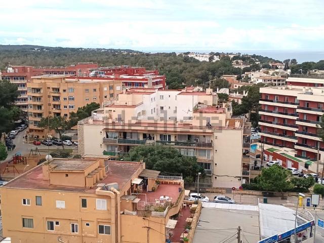 Piso, Llucmajor