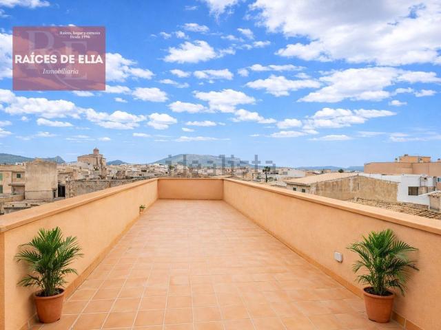 Piso, Llucmajor