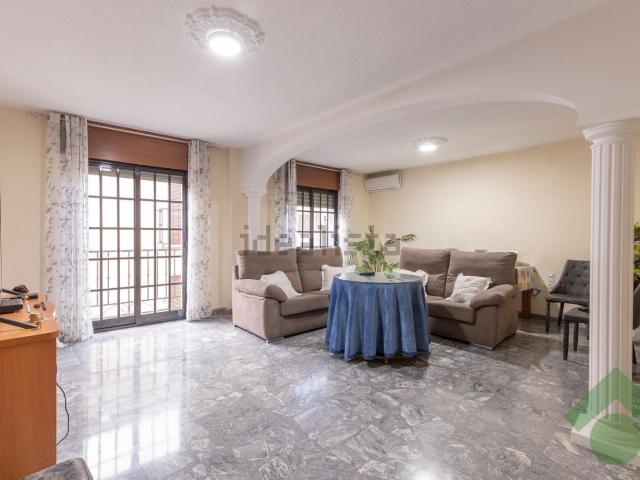 Piso, Loja