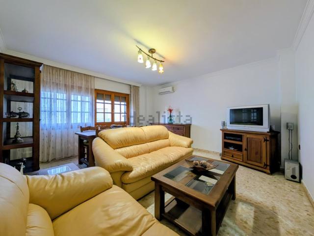 Piso, Loja
