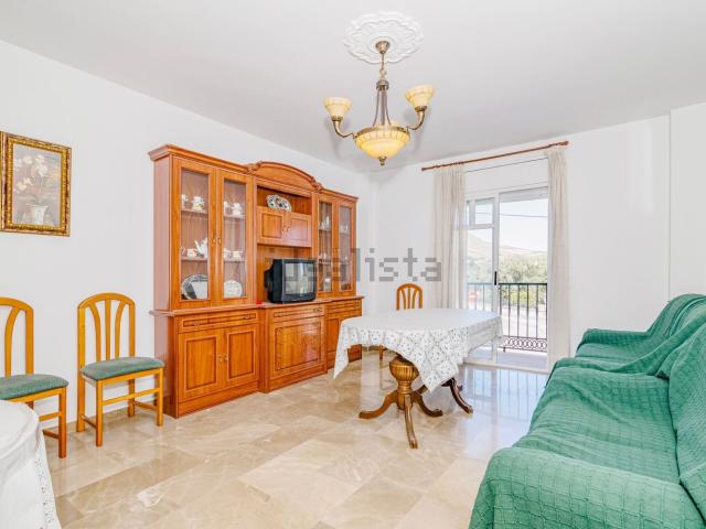 Piso, Loja