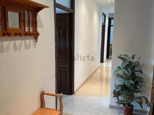 Piso, Loja