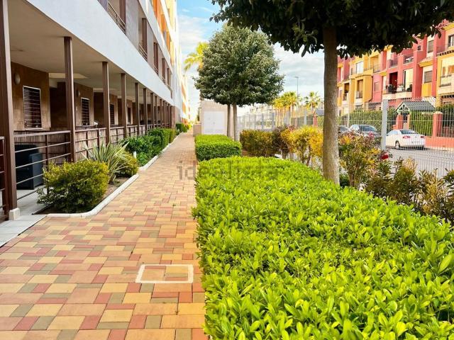 Piso, Lomas de Cabo Roig, Orihuela