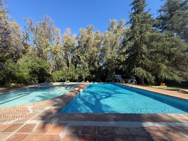 Piso, Los Naranjos, Marbella