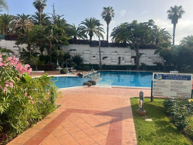 Piso, Puerto de la Cruz