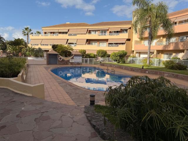 Piso, Puerto de la Cruz