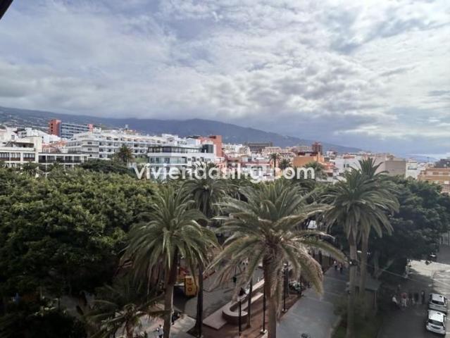 Piso, Puerto de la Cruz