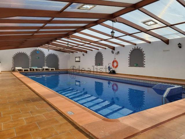 Piso, Puerto de la Cruz