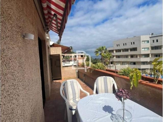 Piso, Puerto de la Cruz