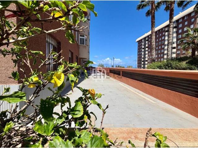 Piso, Puerto de la Cruz