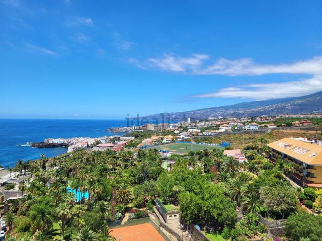 Piso, Puerto de la Cruz
