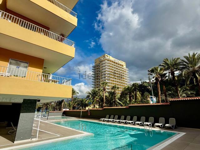 Piso, Puerto de la Cruz