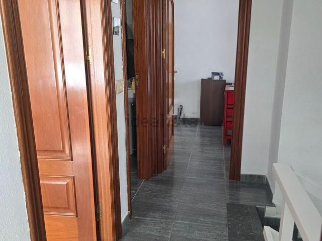 Piso, Puerto del Rosario