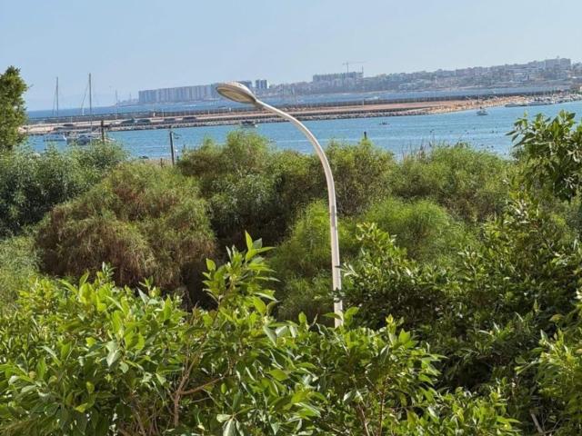 Piso, Puerto Deportivo, Torrevieja