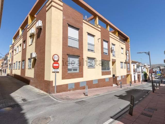 Piso, Pulianas