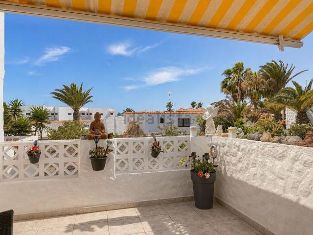 Piso, Pajara