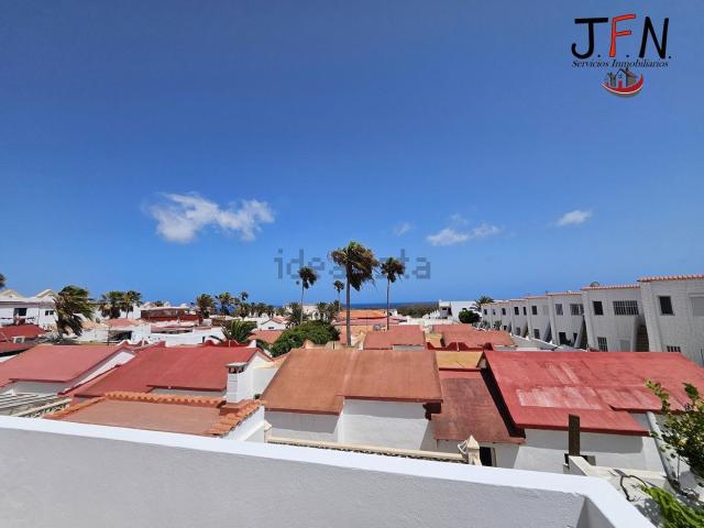 Piso, Pajara