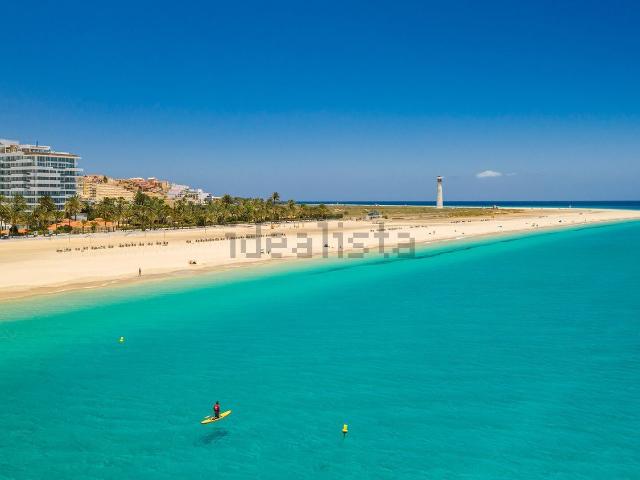 Piso, Pajara