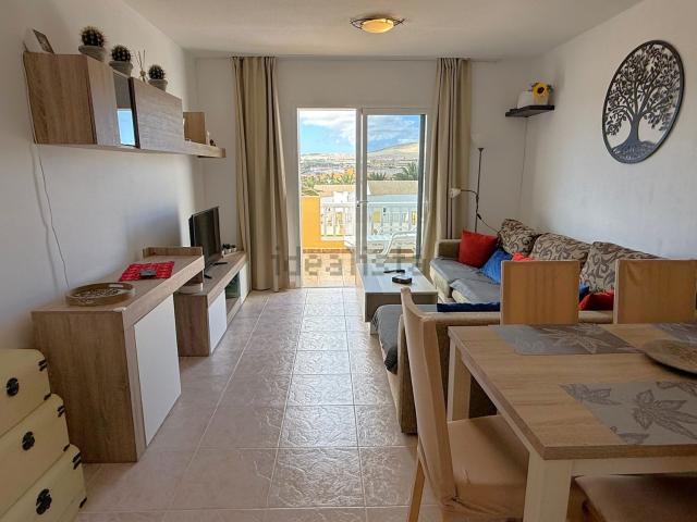 Piso, Pajara