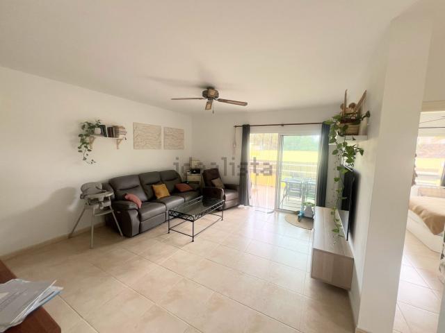 Piso, Pajara