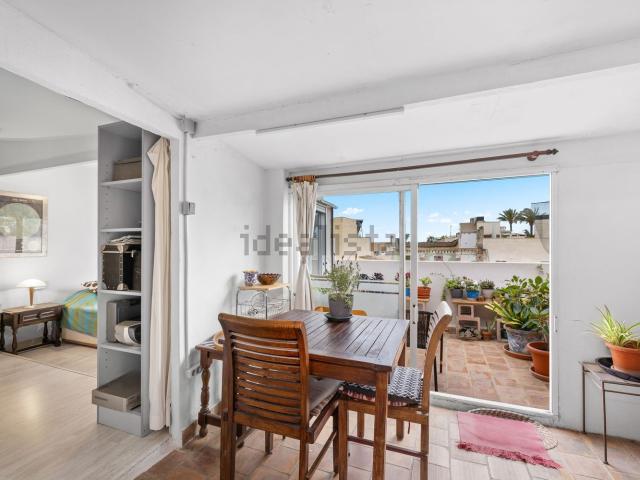 Piso, Palma de Mallorca