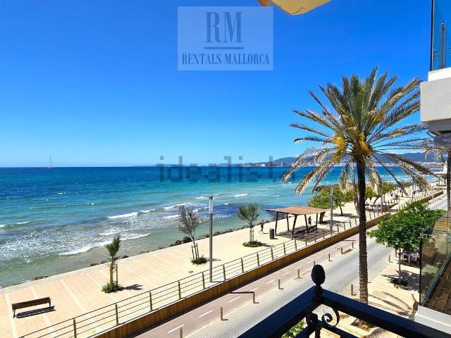 Piso, Palma de Mallorca