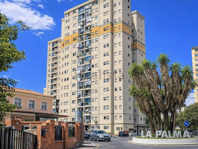 Piso, Palma Palmilla, Málaga