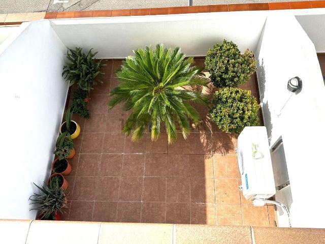 Piso, Palamós