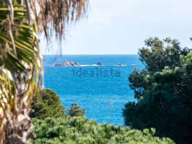 Piso, Palamós