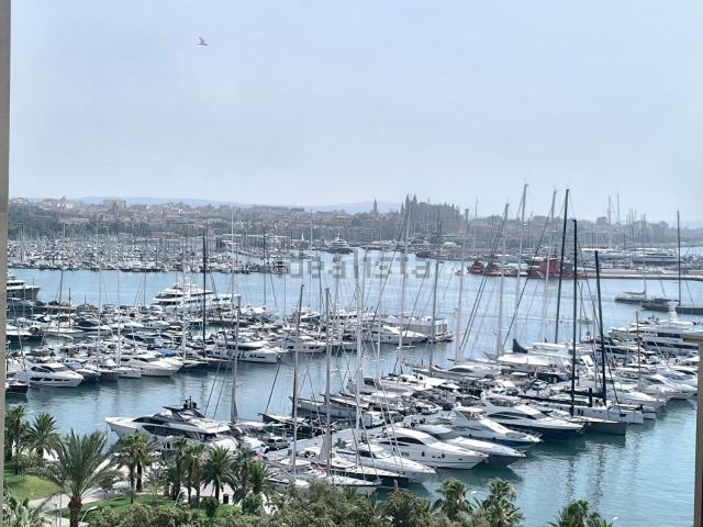 Piso, Paseo Marítimo, Palma de Mallorca