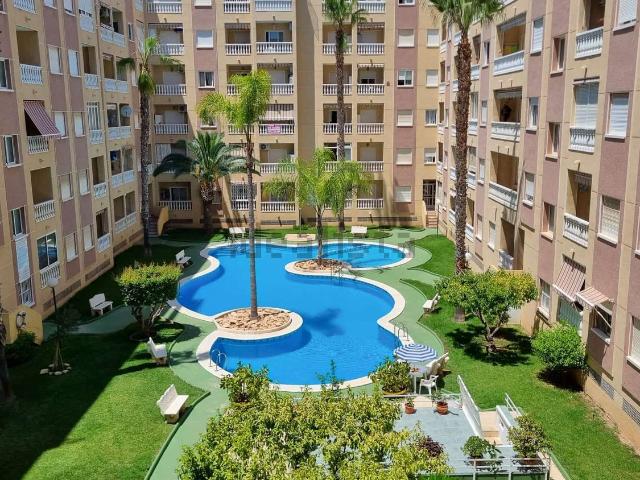 Piso, Parque de las Naciones, Torrevieja